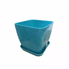 САКСИЯ ГЛАДКА ФЛОРА 17x17 СМ_3