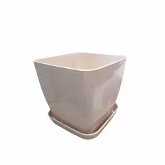 САКСИЯ ГЛАДКА ФЛОРА 17x17 СМ_4