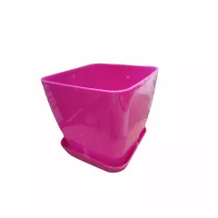 САКСИЯ ГЛАДКА ФЛОРА 17x17 СМ_5