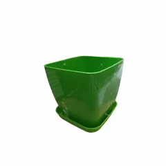 САКСИЯ ГЛАДКА ФЛОРА 17x17 СМ_6