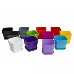 САКСИЯ ГЛАДКА ФЛОРА 21x21 СМ_1