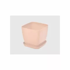 САКСИЯ ГЛАДКА ФЛОРА_12