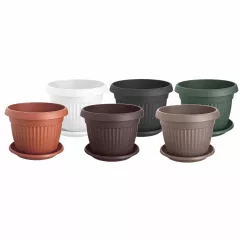 КРЪГЛА САКСИЯ РЕБРА Ф17_1