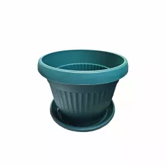 КРЪГЛА САКСИЯ РЕБРА Ф25_1