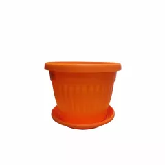 КРЪГЛА САКСИЯ РЕБРА Ф12_1