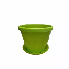 КРЪГЛА САКСИЯ РЕБРА Ф12_2