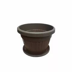 КРЪГЛА САКСИЯ РЕБРА Ф12_3