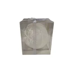 ТОПКА СВЕТЕЩА - 110228_9