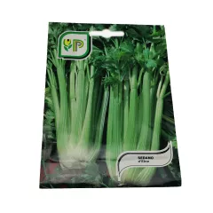 ДРЪЖКОВА ЦЕЛИНА_0