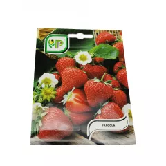 ВИСЯЩИ ЯГОДИ_1