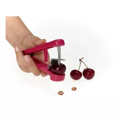 УРЕД ЗА ВАДЕНЕ НА КОСТИЛКИ НА ЧЕРЕШИ 25.06.58 METALTEX_0