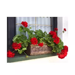 Product desc