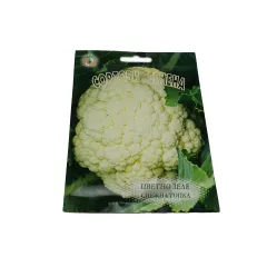 ЦВЕТНО ЗЕЛЕ СНЕЖНА ТОПКА_0