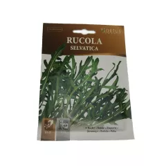 РУКОЛА СЕЛВАТИКА МНОГОГОДИШНА_0