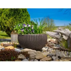 САКСИЯ БАМБУС_1