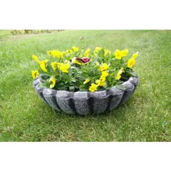 САКСИЯ МАРИЕТИЦА МАЛКА_1