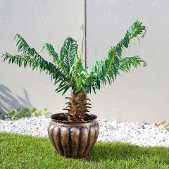 Product desc