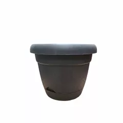 САКСИЯ Ф15 KRS-341_2