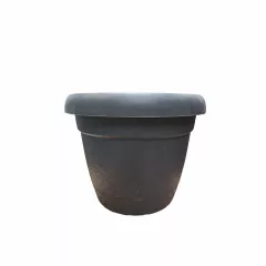 САКСИЯ Ф19 KRS-342_2