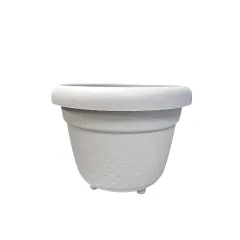 САКСИЯ Ф24 KRS-343_1