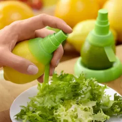 ЦИТРУС СПРЕЙ DP-4785_2