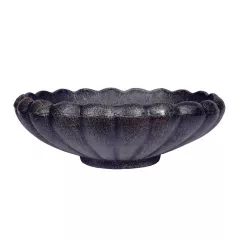 САКСИЯ МАРИЕТИЦА СРЕДНА_0