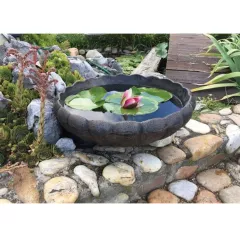 САКСИЯ МАРИЕТИЦА СРЕДНА_1