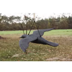 ПЛАШИЛО ГАРВАН В ПОЛЕТ_1