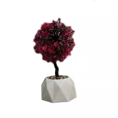 ДЕКОРАТИВНО ЦВЕТЕ В САКСИЙКА 2885553_1