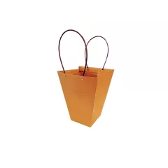 ПОДАРЪЧЕН ПЛИК ЗА САКСИЯ_0