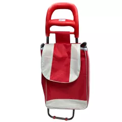 ПАЗАРСКА КОЛИЧКА С МЕТАЛНА ДРЪЖКА/ И02-11539_1