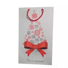 КОЛЕДЕН ПЛИК_1