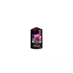 СВЕЩ ЦИЛИНДЪР 60х100 ММ WILD ORCHID_0
