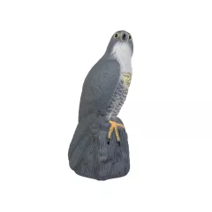 ПЛАШИЛО СОКОЛ СТОЯЩ_1