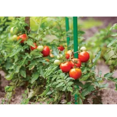 СТОМАНЕНО КОЛЧЕ ЗА РАСТЕНИЯ 120СМ 1,1СМ_1