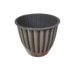 САКСИЯ SERINOVA-5 2885857_2