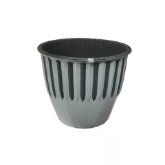 САКСИЯ SERINOVA-5 2885857_3