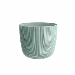 САКСИЯ VIOLA Ф15_2