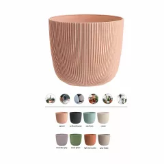 САКСИЯ VIOLA Ф15_6