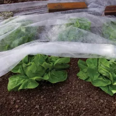 ПОКРИВАЛО ПРОТИВ СЛАНА 17ГР БЯЛО 3,2*5М AWW1732005_1