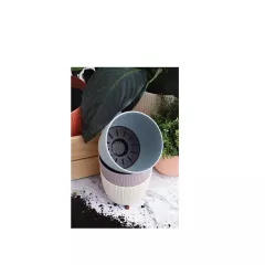 САКСИЯ VIOLA Ф10_1