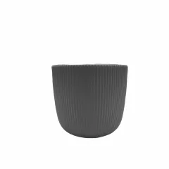 САКСИЯ VIOLA Ф10_2