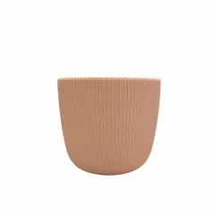 САКСИЯ VIOLA Ф10_5