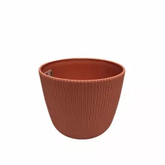 САКСИЯ VIOLA Ф10_6