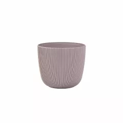 САКСИЯ VIOLA Ф12_5