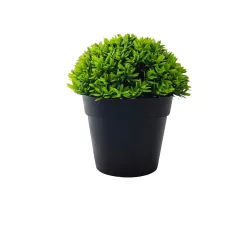 ИКЕБАНА В САКСИЯ - ХРАСТ, МОД.EVA5796/ И107592_0