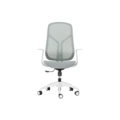 РАБОТЕН ОФИС СТОЛ CARMEN 7900 W - ЗЕЛЕН_1