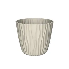 САКСИЯ SAHARA Ф30_2