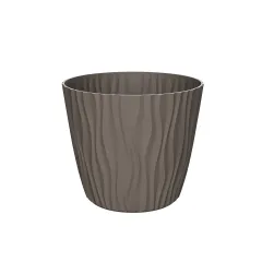 САКСИЯ SAHARA Ф30_3