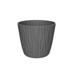 САКСИЯ SAHARA Ф30_4